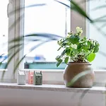 Ruhig - Privatparkplatz - Barrierearm Quiet - Private Car Park - Barrier Апартаменты *